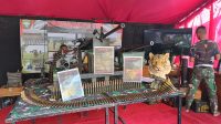 IMG-20240929-WA0013