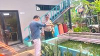 IMG-20241103-WA0026