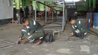 IMG-20241109-WA0035