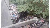 IMG-20241112-WA0026