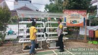 IMG-20241112-WA0036