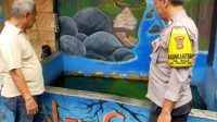 IMG-20241112-WA0037