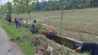 IMG-20241115-WA0026