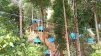 IMG-20241120-WA0025