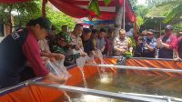 IMG-20241121-WA0034