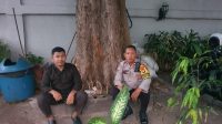 IMG-20241126-WA0036