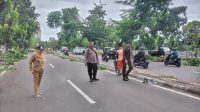IMG-20241203-WA0022