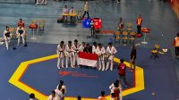 IMG-20241208-WA0033