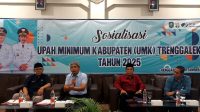 IMG-20241219-WA0049