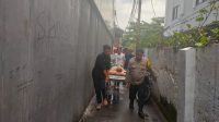 IMG-20241220-WA0036