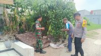 IMG-20250107-WA0009