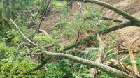 IMG-20250227-WA0015