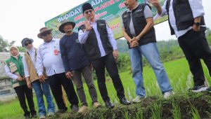 FB_IMG_1776914938349